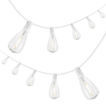 10-Light Indoor/Outdoor 10 ft. Rustic Industrial ST38 Clear Bulb String Lights
